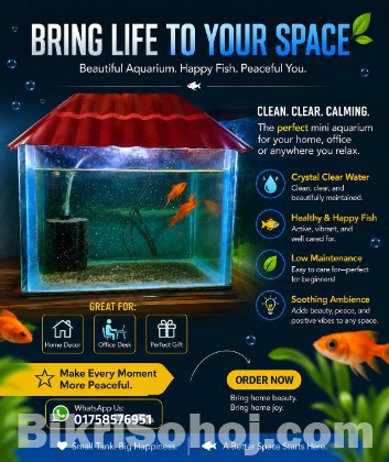 9x6x6 aquarium
